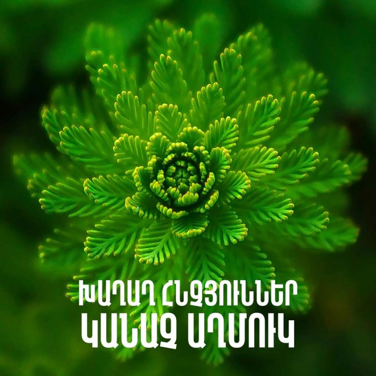 Կանաչ աղմուկ